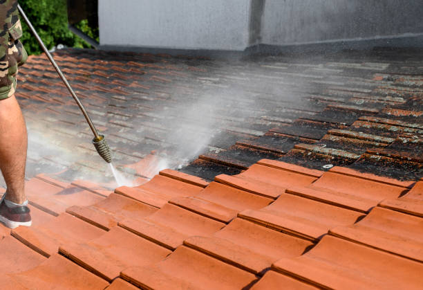 Best Roof Pressure Washing  in Sebring, FL