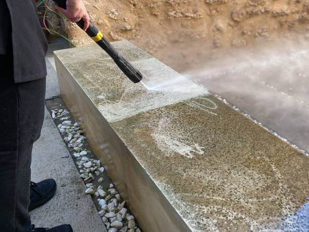 Best Roof Power Washing Services  in Sebring, FL