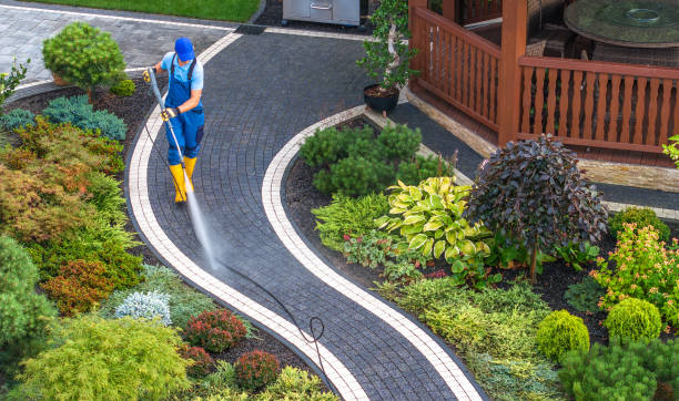 Best Pressure Washing Near Me  in Sebring, FL